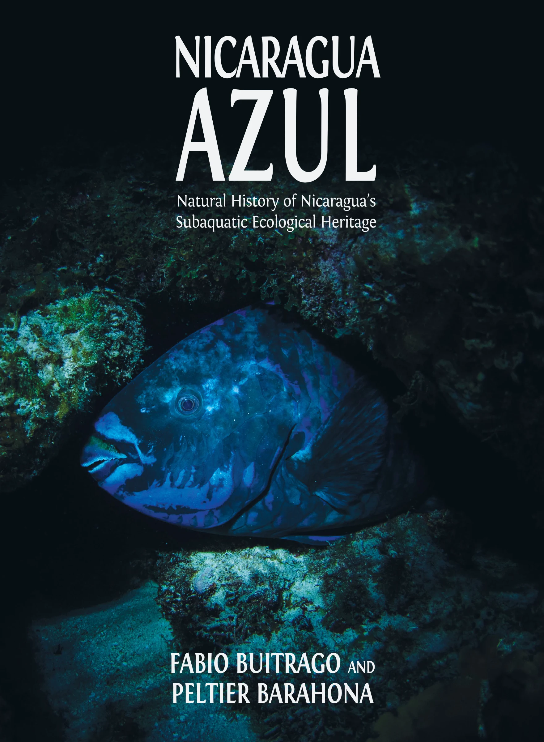 Nicaragua Azul